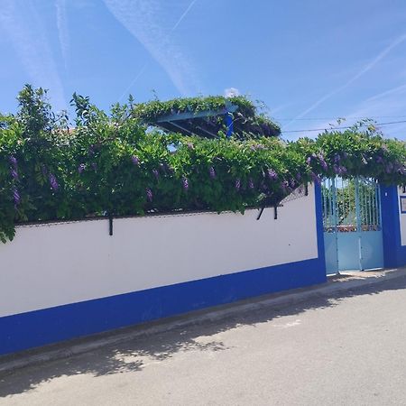 Casa Dos Avos Villa Монсарас Екстериор снимка