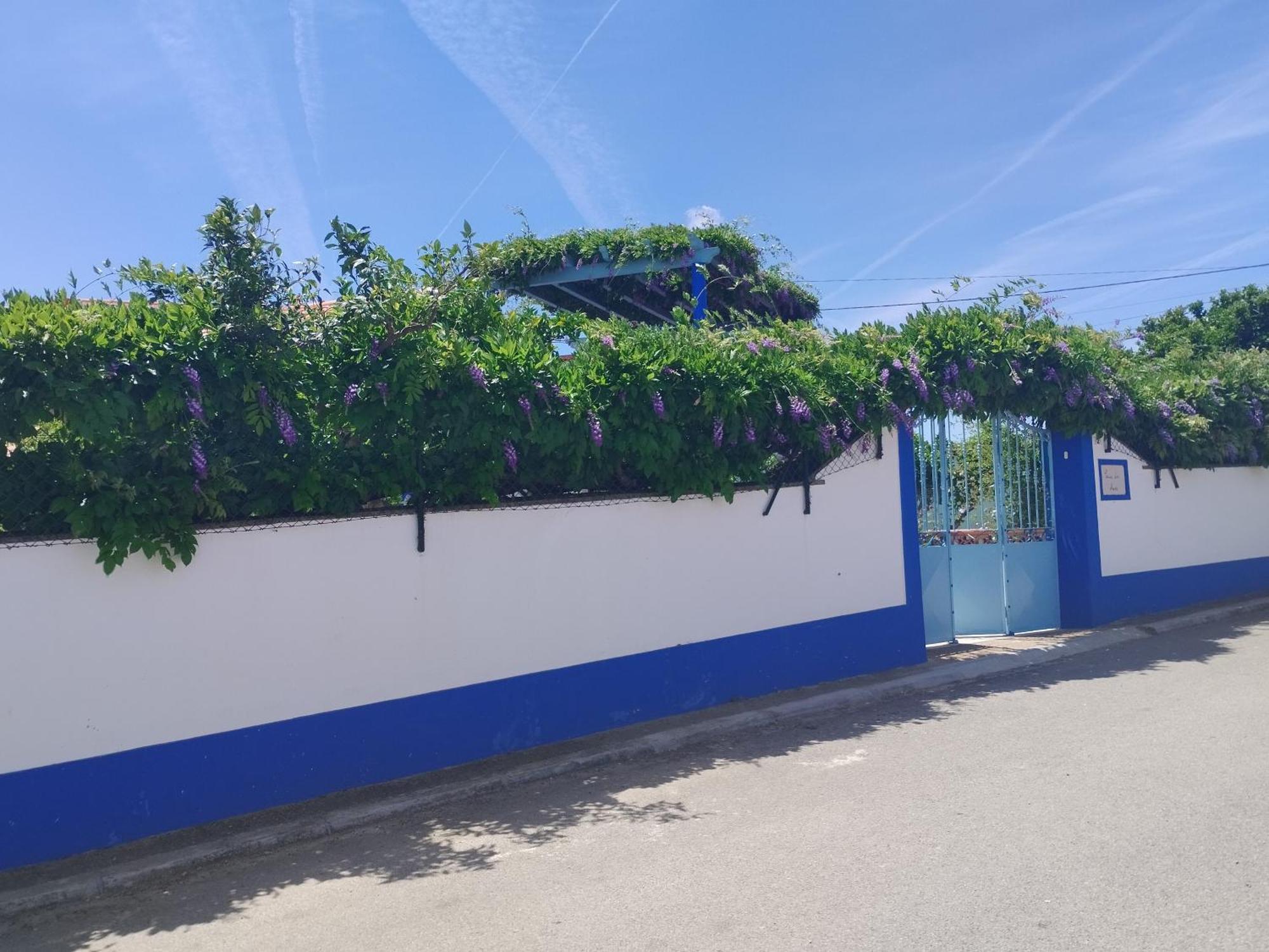 Casa Dos Avos Villa Монсарас Екстериор снимка